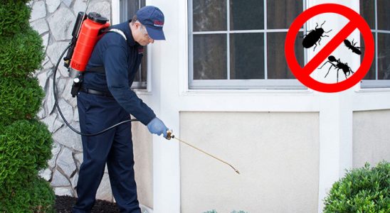 Bağcılar Böcek İlaçlama böcek ilaçlama ve haşere kontrolü — ilaclama-tr.com